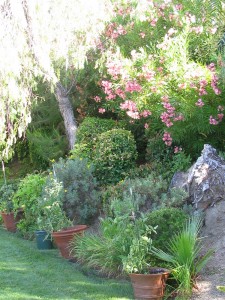 garden3