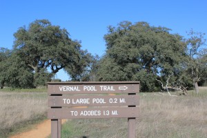 sANTA ROSA PLATEAU ca vernal pools