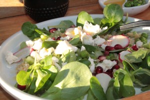 feta,mache, pomegranate, radishes, quinoa, peas and cocumber salad