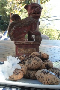 Cookies in the garden