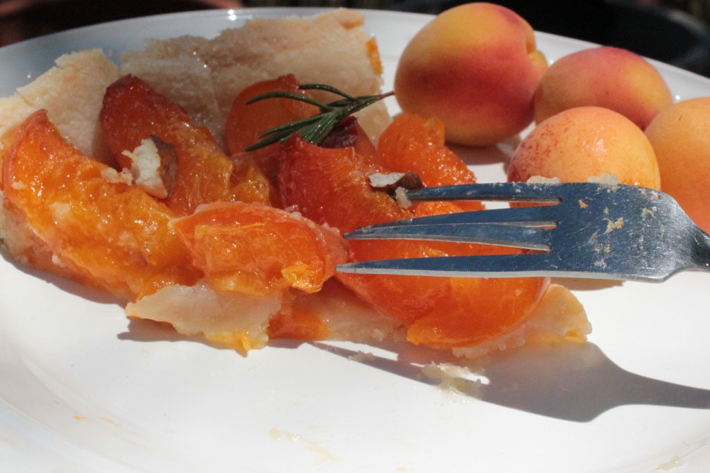 apricots tart slice