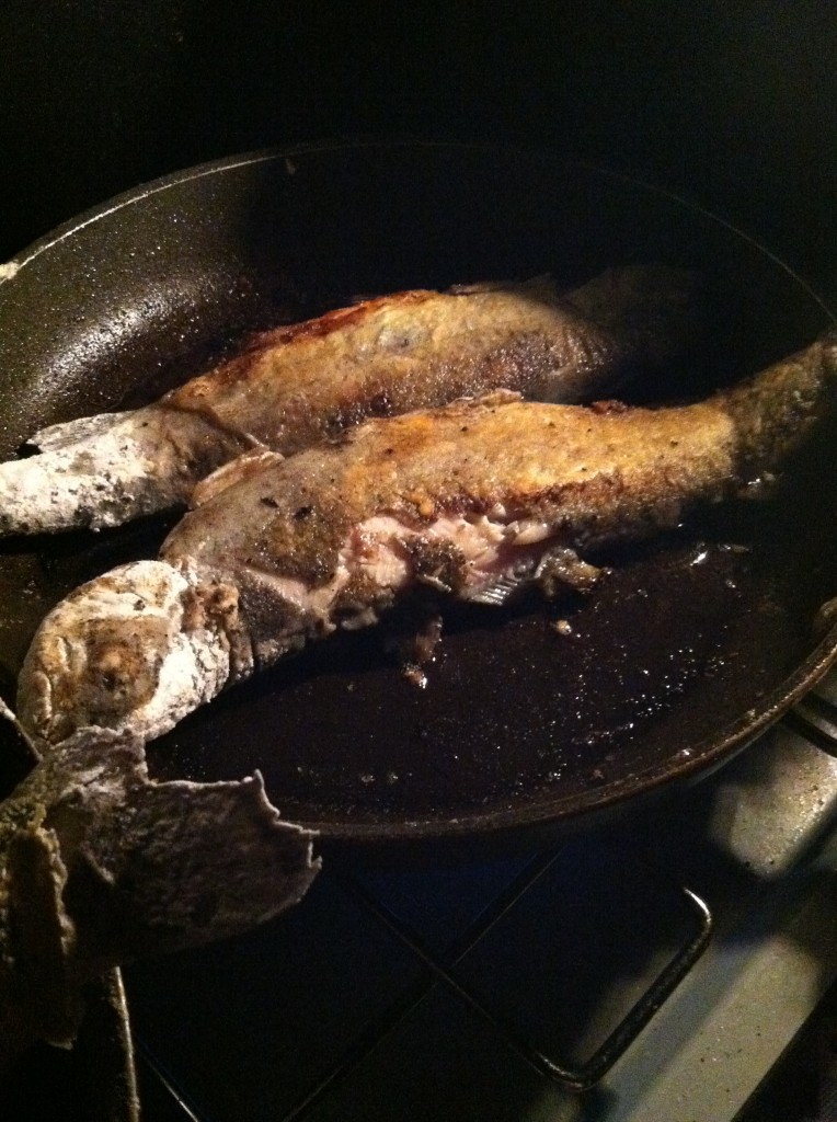 lake Tahoe trouts fishing day