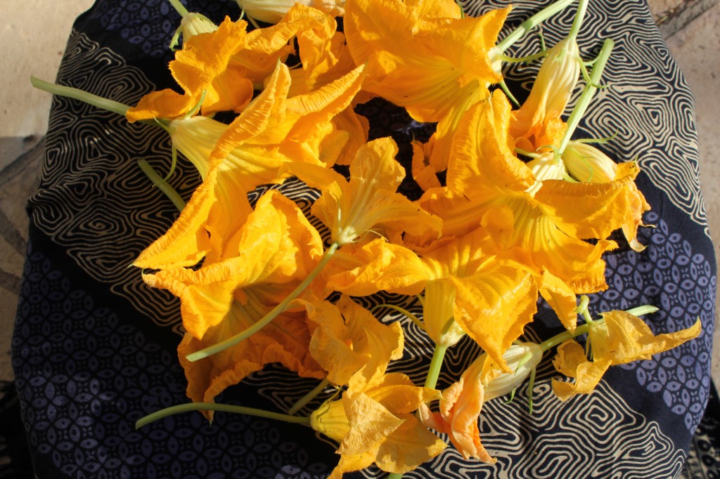 zuchini flowers