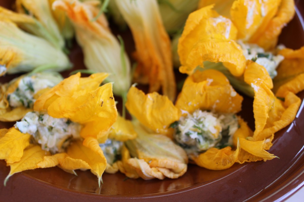 stuffed zuchini flowers