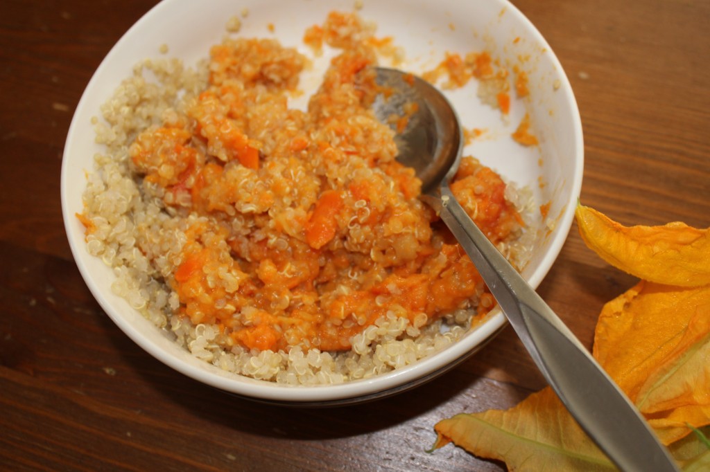 quinoa, carrots and eggplants puree